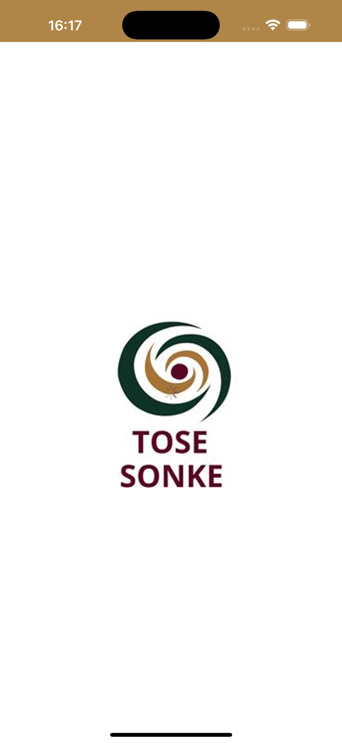 Tose Sonke