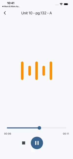 More & More Audio screenshot 3
