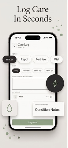 Door Plant Routine screenshot