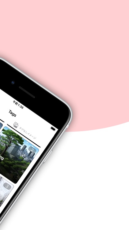 RabbitBox - Image Organizer