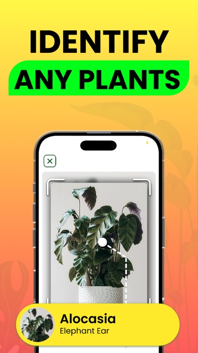 Plant Identifier Diagnosis Screenshot