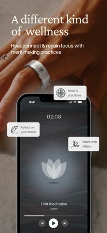 Do Merit Screenshot 1 of 6