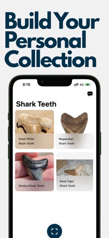 Shark Tooth Identifier: Scan screenshot