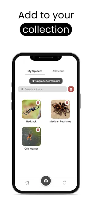 Spider Identifier - AI Scan screenshot 4