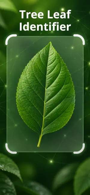 Tree Leaf Identifier & Scanner screenshot 1