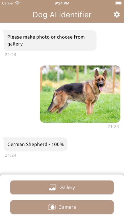 Dog AI identifier