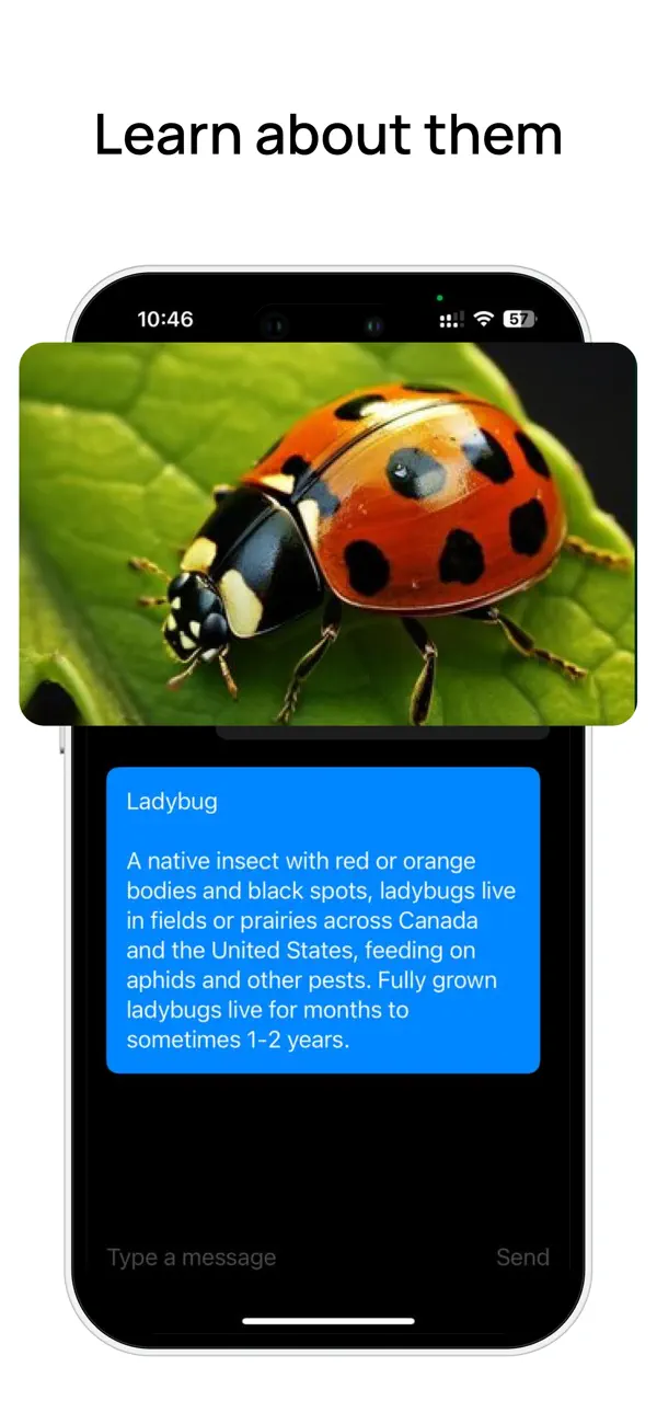#2. Insect Identifier: Bug Scanner (iOS) Ved: Ihor Bilohubov