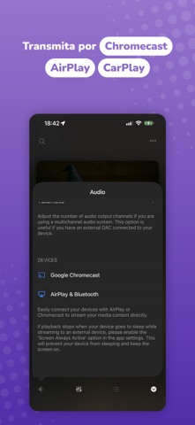 Evermusic: reproductor offline screenshot 8
