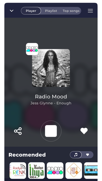 Radio Turkey Online Screenshot