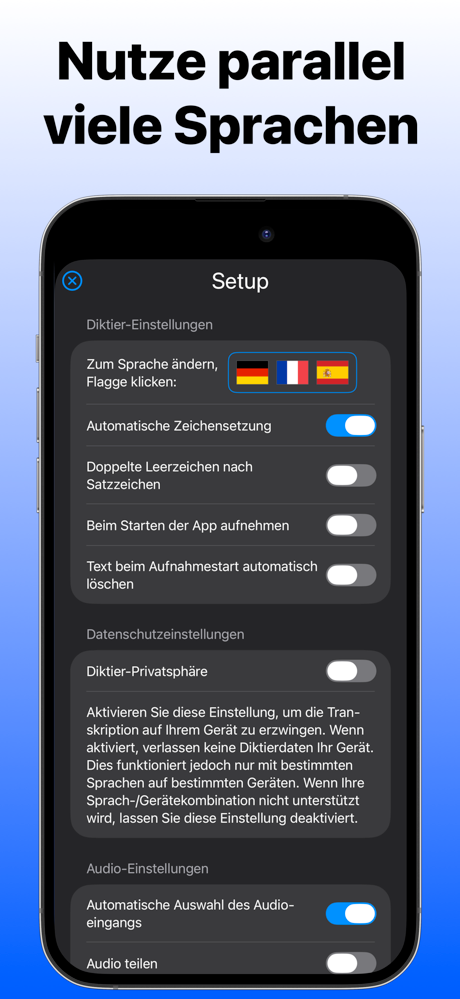 Sprachmemos & Diktat zu Text screenshot 6