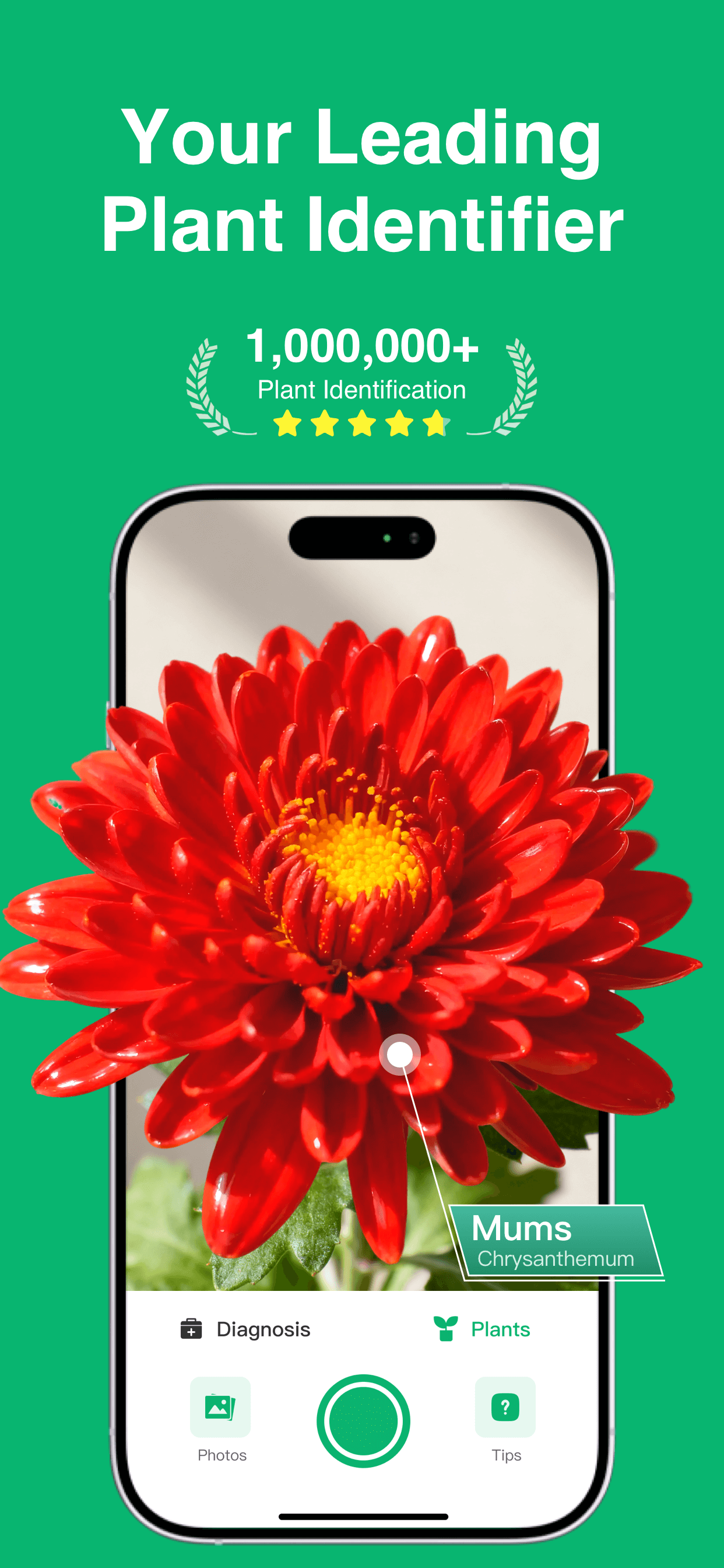 Plant Identifier: ChatPlant AI