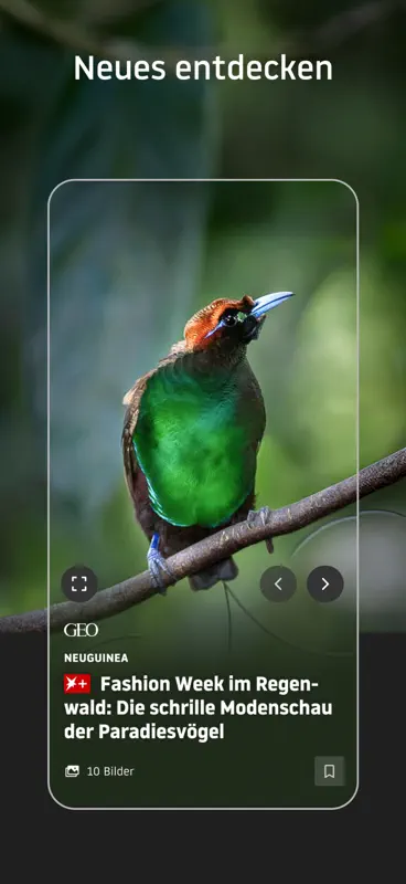 stern online: Nachrichten App screenshot 6 of 6