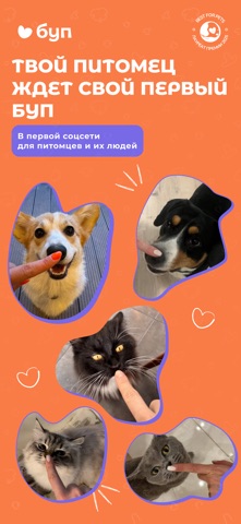 Буп Screenshot 8 of 8