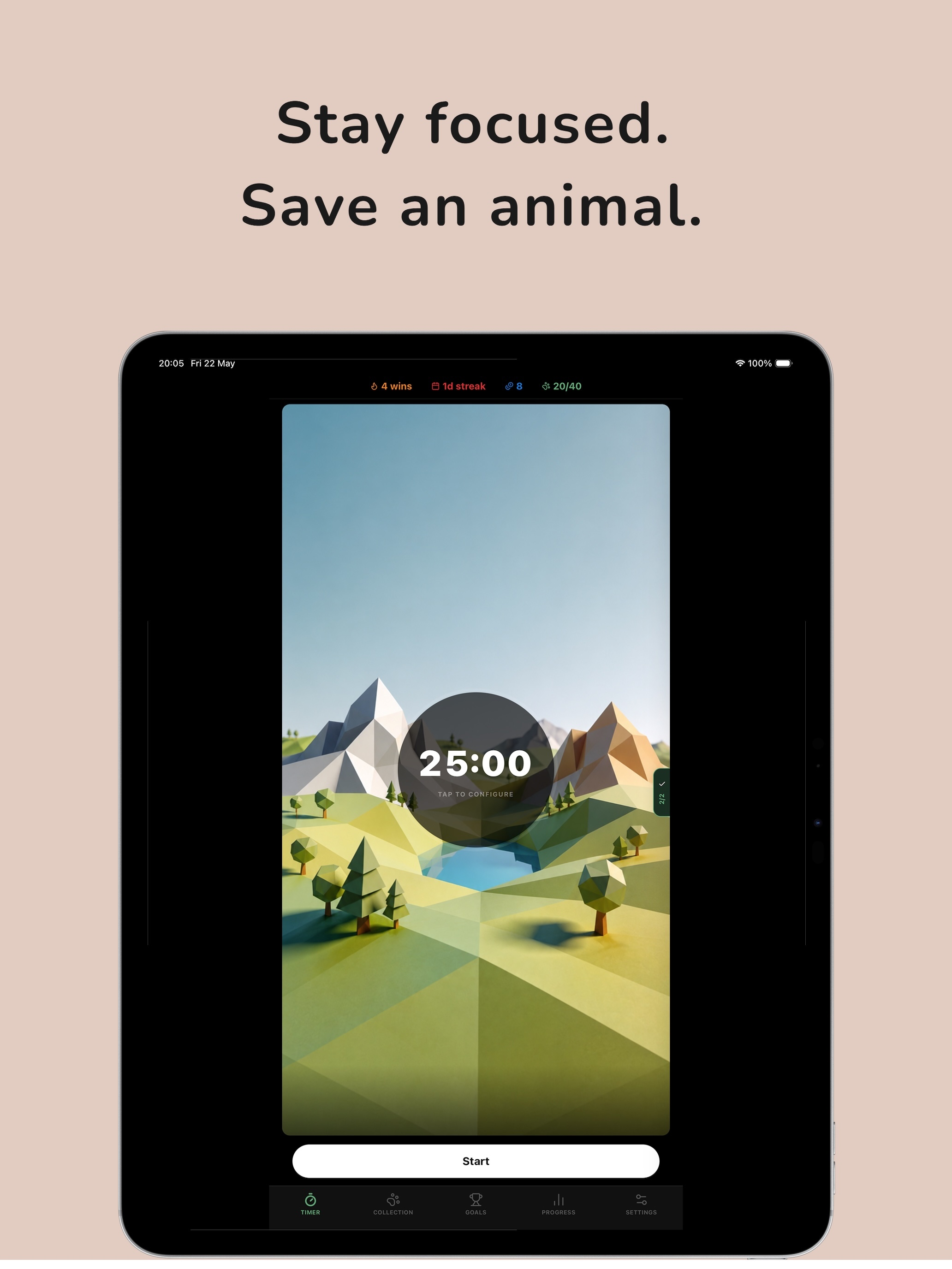 Pomodoro Timer - Wild Focus