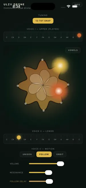Ulzii Drone screenshot 3