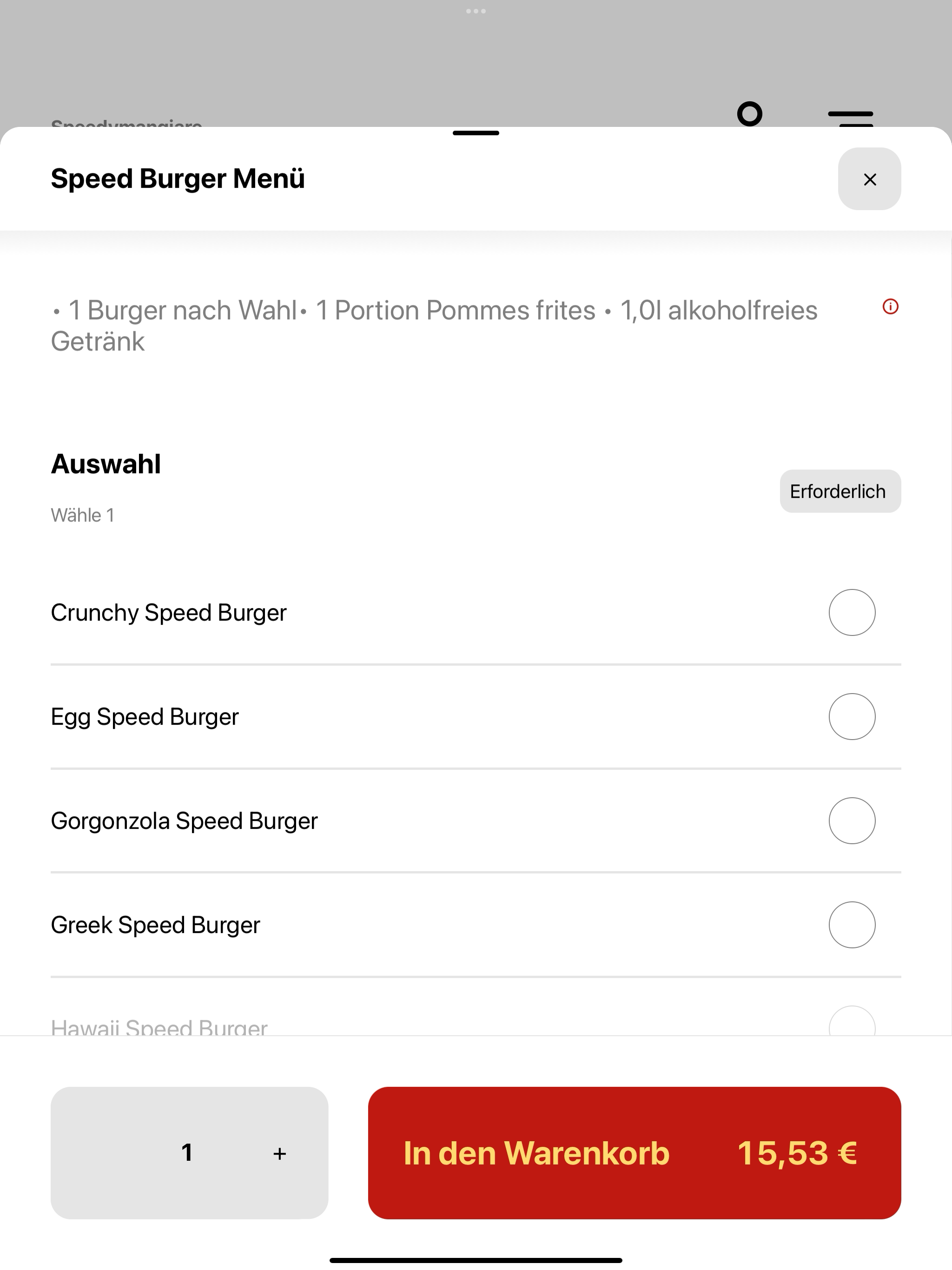 Speedymangiare Hagen screenshot 8
