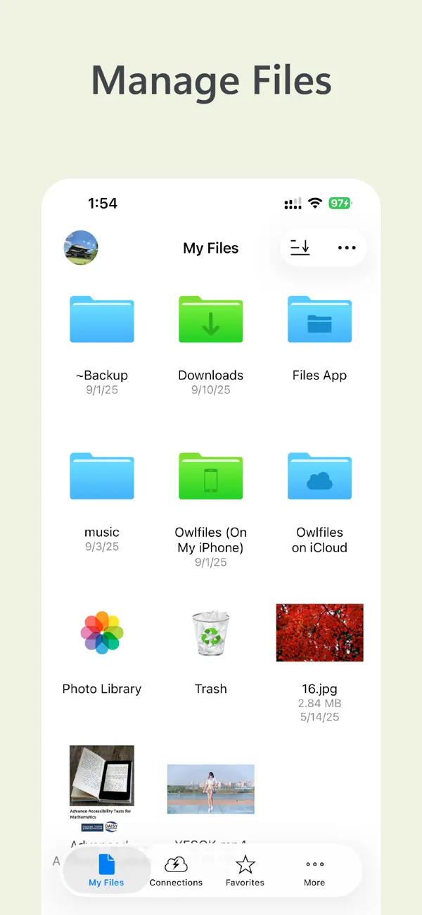 #1. Owlfiles - File Manager (iOS) 来自: Skyjos Co., Ltd.