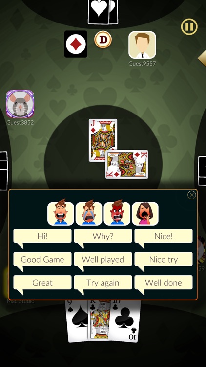 Euchre Ultimate screenshot-3