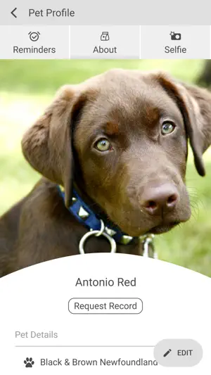Leesburg Animal Hospital screenshot 3
