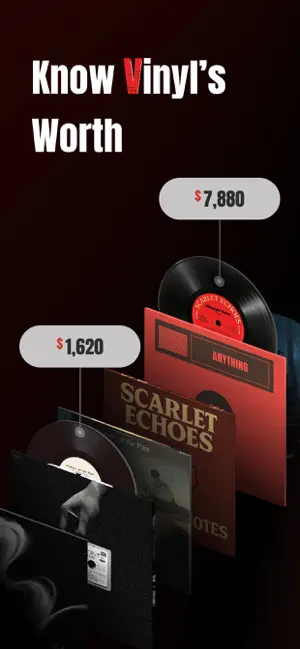 VinylSnap: Scan & Value Record screenshot 1