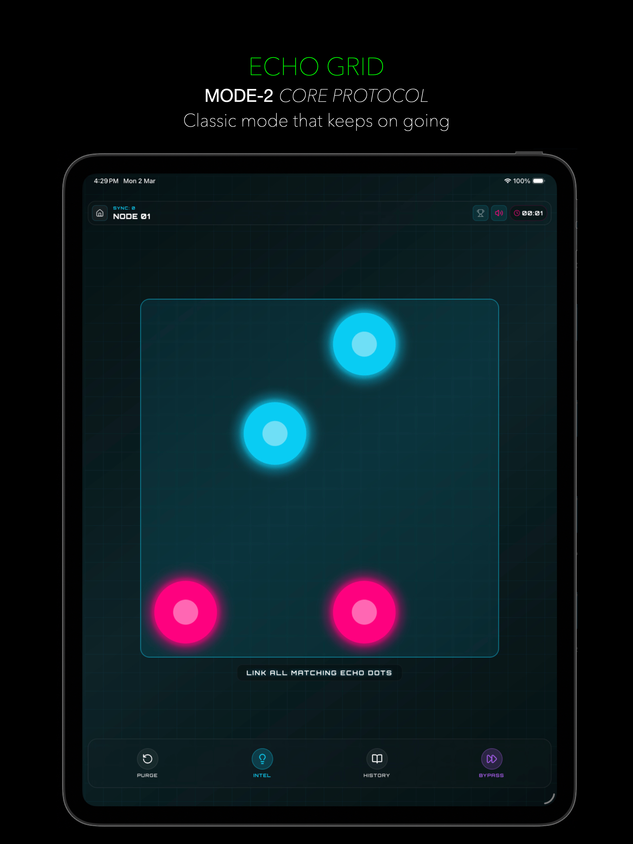 Echo Grid: Neural Decryption