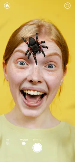Capture d'écran de ARSpiders.com: Spider Prank sur iPhone 6
