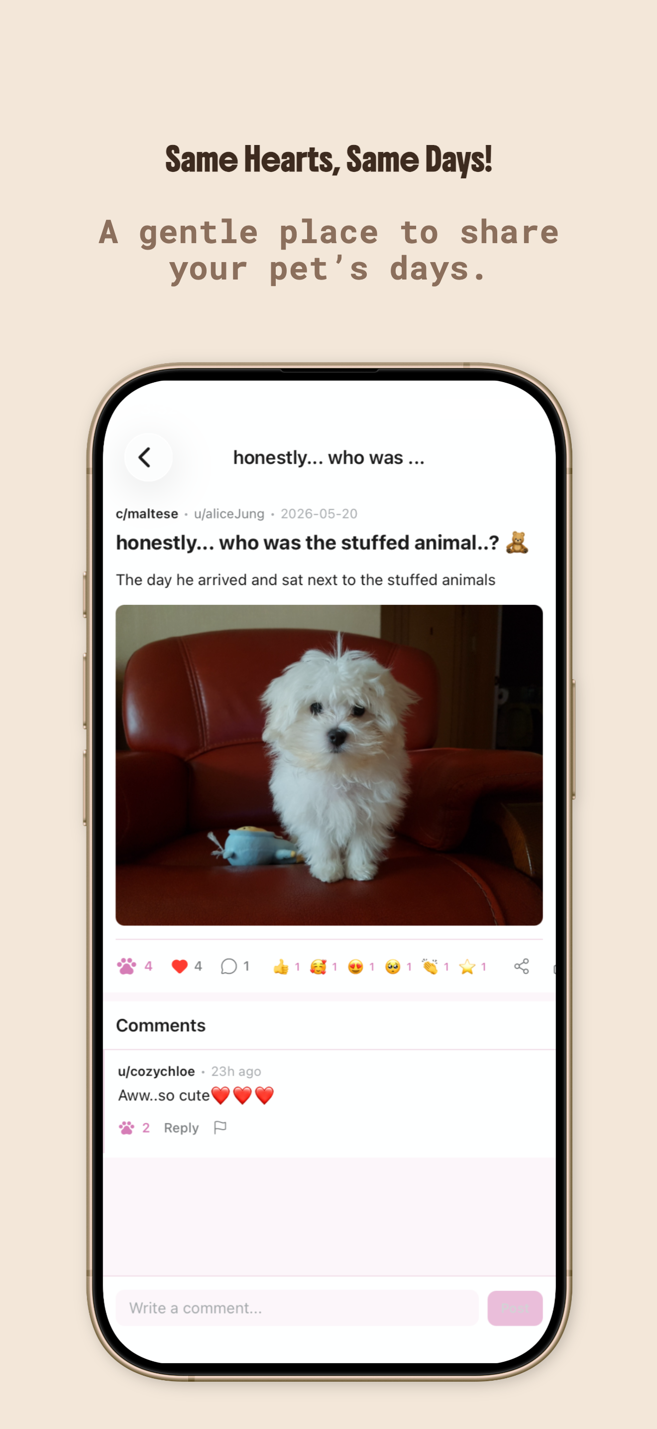 Cherinity screenshot 6