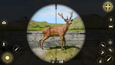 Animal Chasing: City Hunt 3D Screenshot