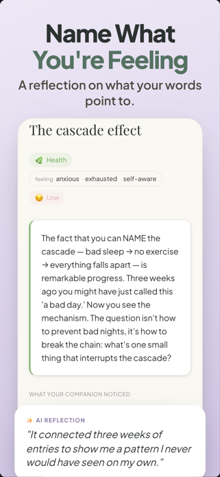 Calmplot: Private AI Journal Screenshot 4 of 6