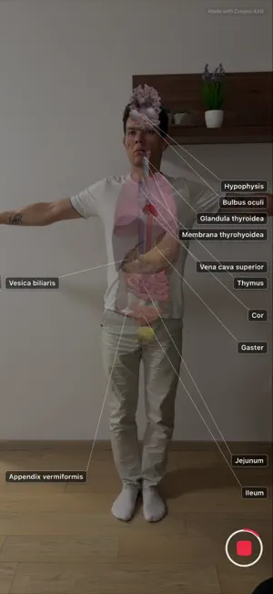 Corpus 4AR screenshot 2