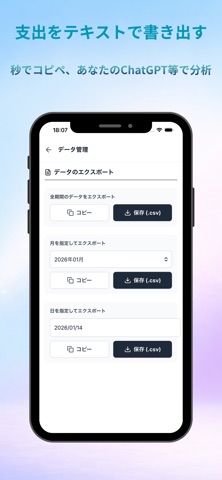 MK5 支出管理・家計簿 screenshot