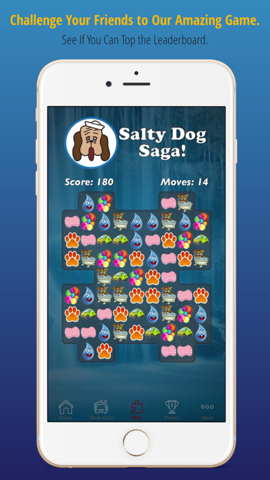 Salty Dog Car Wash Screenshot