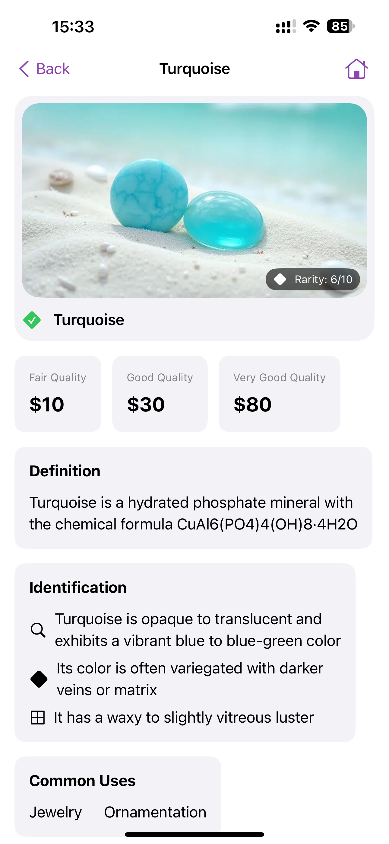 Rock Identifier: Stone Scan ID screenshot 4