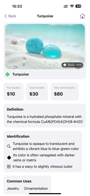 Rock Identifier: Stone Scan ID screenshot 4