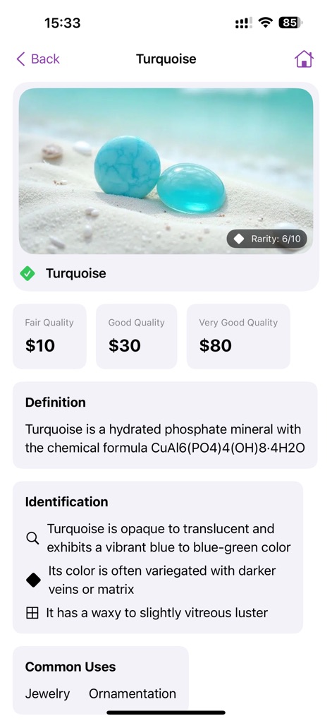 Rock Identifier: Stone Scan ID - Education App | MWM