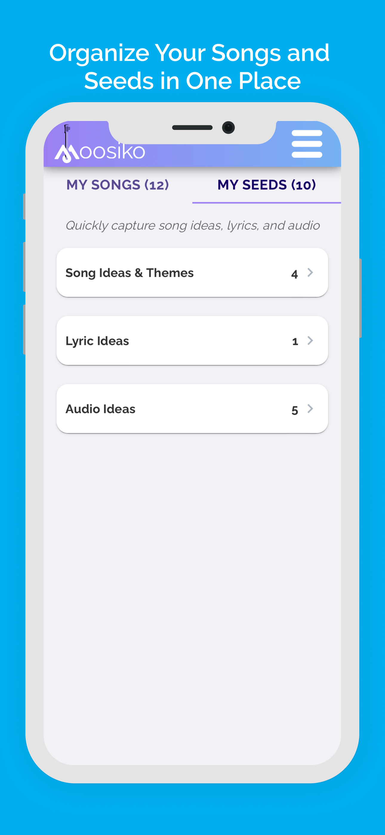 Songwriting Notebook screenshot 4