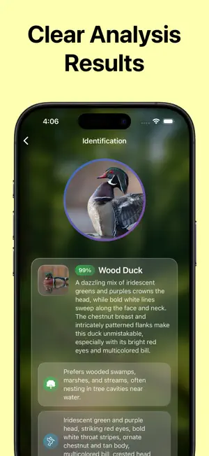 Identifier: Bird screenshot 3