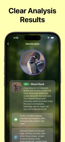Identifier: Bird Screenshot 3 of 3