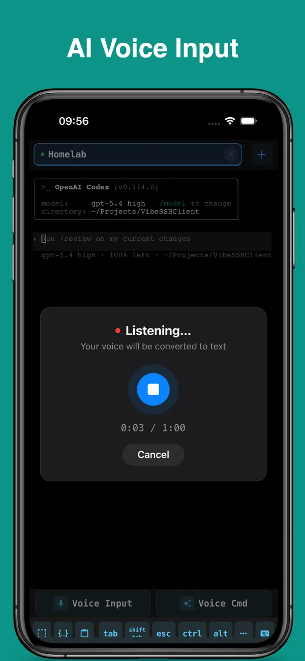 Vibe SSH Terminal Screenshot 1