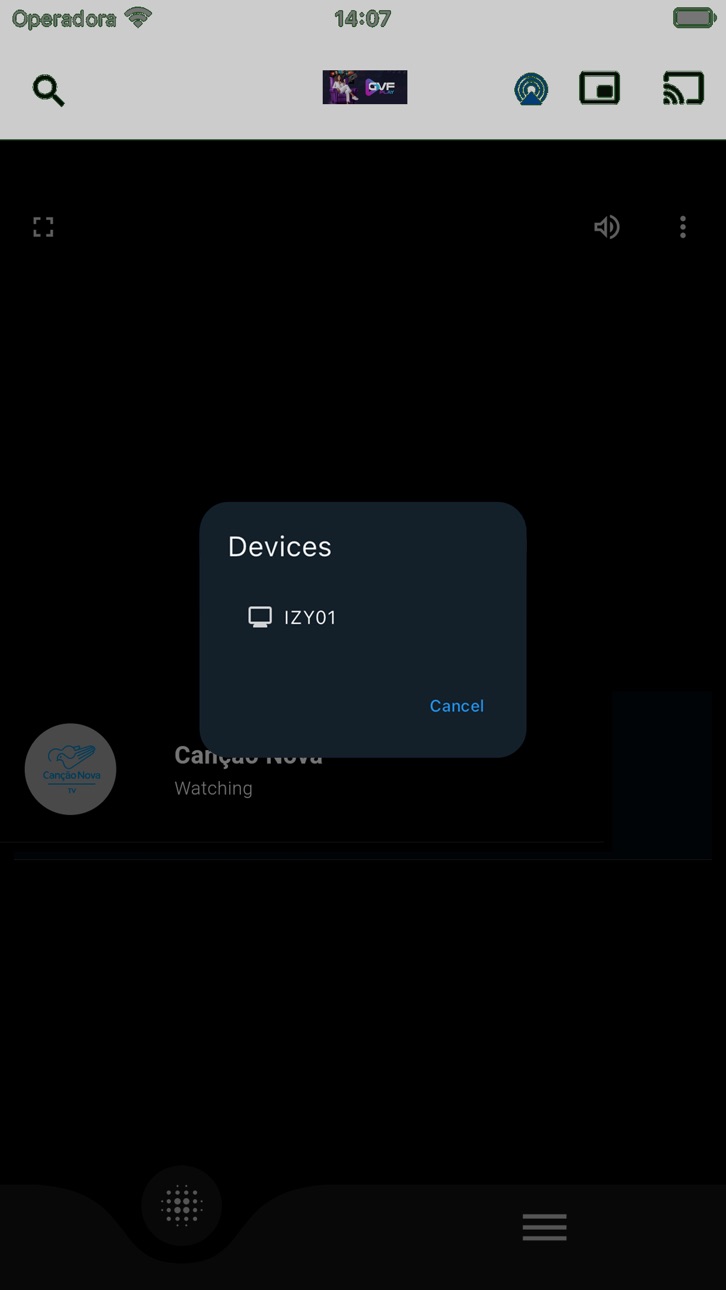 iPhone screenshot