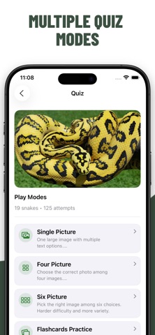 Snakes Quiz Guess Snake iPhone screenshot