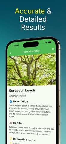 Leaf identification - Plantree Screenshot 4 of 4