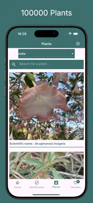 IdenPlante: Plant Identifier screenshot 3