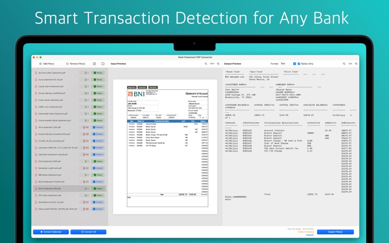 Bank Statement PDF Converter Screenshot