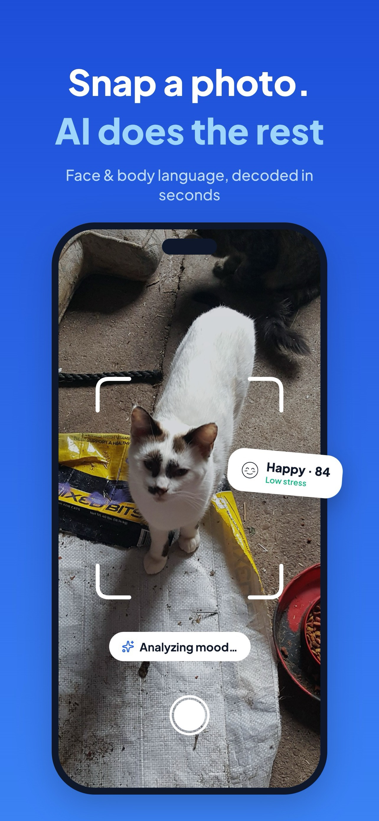 Dog & Cat Translator: AI Scan screenshot 2