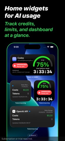 AI Usage Tracker: Tokenmaxxing Screenshot 4 of 6