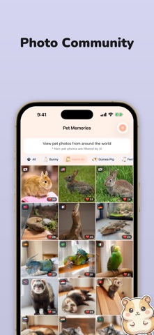 Hamster Care - Pet Photo Log iPhone screenshot