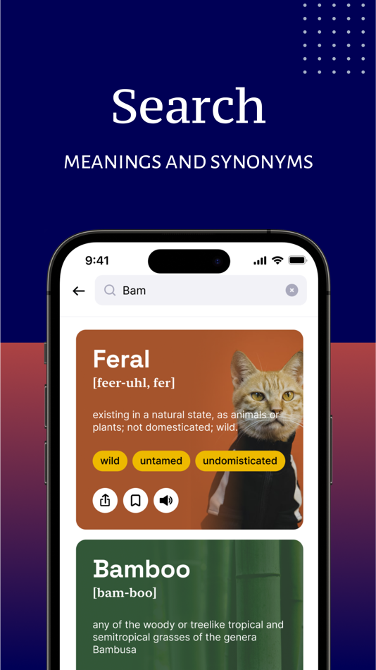 #3. English Dictionary Offline (iOS) By: INVENTO ONE PRIVATE LIMITED