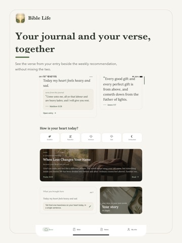 Bible Life: The Daily Word iPad screenshot