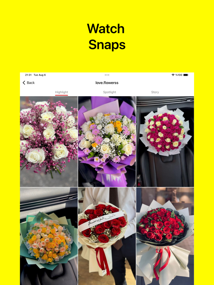SnapSaver - Story Snap Saver
